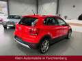Volkswagen Polo Cross Polo Klimaanlage SHZ Sportsitze 17"LM *1HD Rosso - thumbnail 7