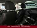 Volkswagen Polo Cross Polo Klimaanlage SHZ Sportsitze 17"LM *1HD Rosso - thumbnail 12