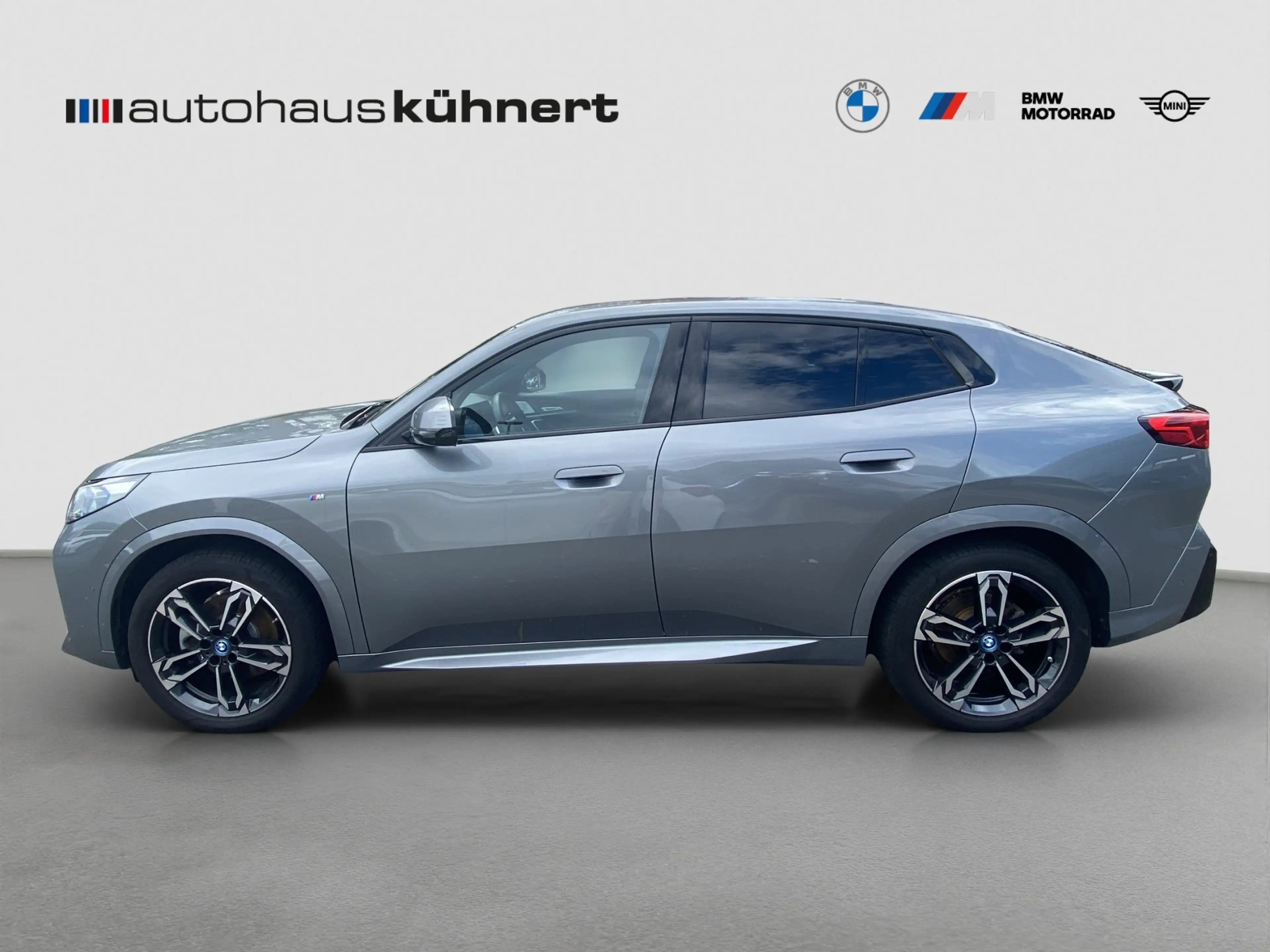 BMW iX2 xDrive30 M-Sport ACC SpurAss 360° AHK — photo 4