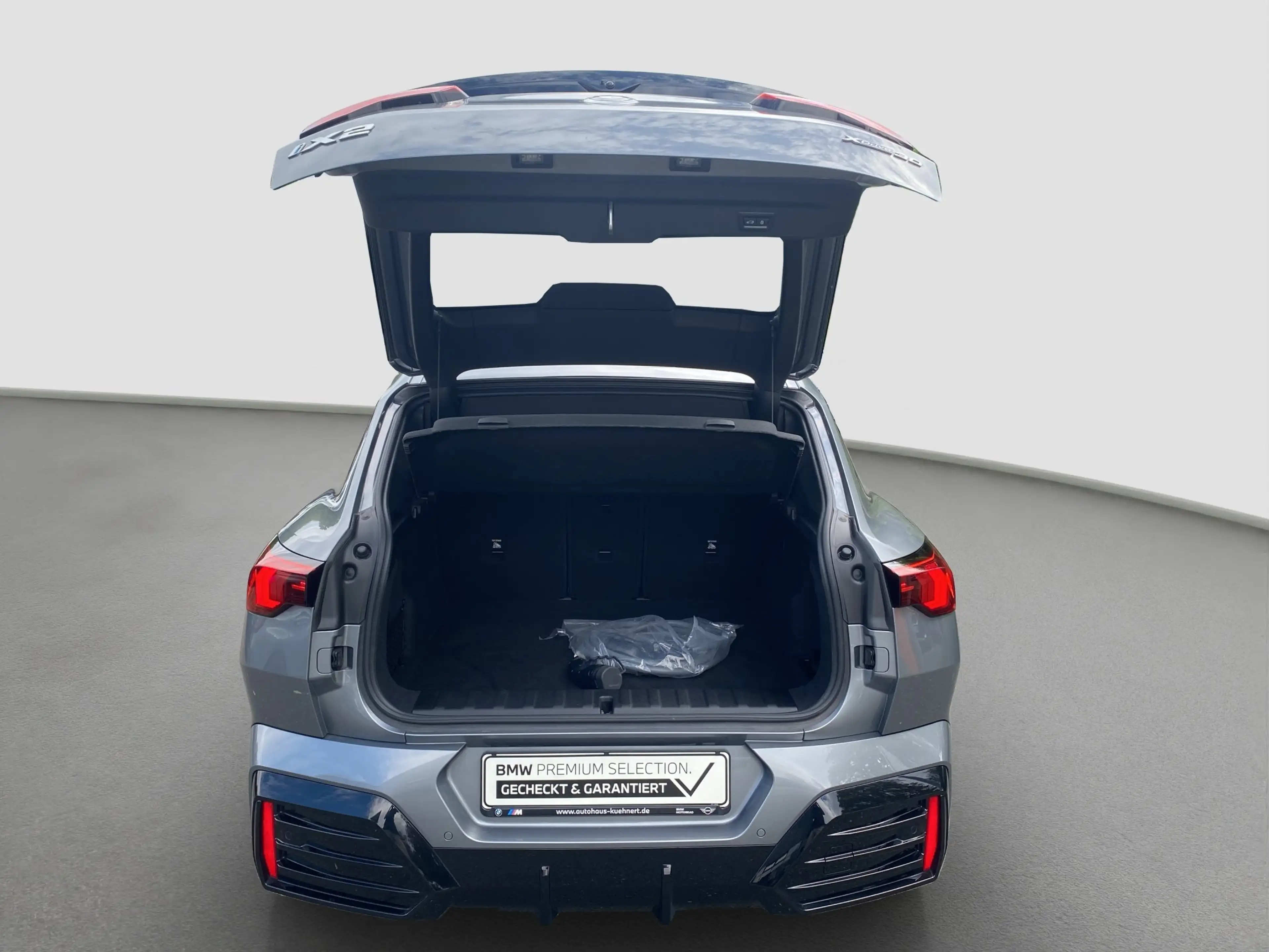 BMW iX2 xDrive30 M-Sport ACC SpurAss 360° AHK — photo 10