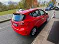Ford Fiesta Fiesta 5p 1.5 ecoblue (tdci) Plus 85cv my19 Rosso - thumbnail 3
