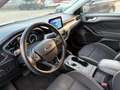 Ford Focus Focus V SW 1.5 ecoblue Business 120cv auto Argento - thumbnail 9