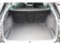 Skoda Octavia IV Combi 1.5 TSI mHEV DSG Selection Schwarz - thumbnail 14