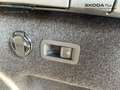 Skoda Kodiaq 2.0 TDI DSG 4x4 Selection Navi AHK Matrix Schwarz - thumbnail 11