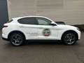 Alfa Romeo Stelvio 2.0 Turbo 16V AT8-Q4 Sprint lichte vracht - thumbnail 9