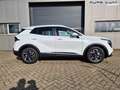 Kia Sportage Vision 1.6 T-GDi MHEV 160PS Automatik Sitzheizu... Wit - thumbnail 8