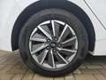 Hyundai IONIQ Elektro 26 KW Aktion 2.99% 131.- Rate Bianco - thumbnail 19