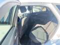 Ford Focus 1,0 EcoBoost Trend Weiß - thumbnail 12