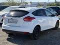 Ford Focus 1,0 EcoBoost Trend Weiß - thumbnail 4