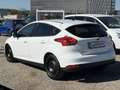Ford Focus 1,0 EcoBoost Trend Weiß - thumbnail 6