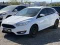 Ford Focus 1,0 EcoBoost Trend Weiß - thumbnail 1