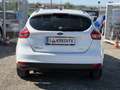 Ford Focus 1,0 EcoBoost Trend Weiß - thumbnail 5