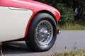 Austin-Healey 3000 MK III Rood - thumbnail 15