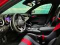 Alfa Romeo Giulia GTAm Nr. 26 von 500 Stück Limited Edition Rouge - thumbnail 17