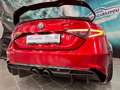 Alfa Romeo Giulia GTAm Nr. 26 von 500 Stück Limited Edition Rouge - thumbnail 5