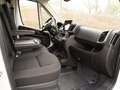 Fiat Ducato Maxi 35 L2H2 180 Automatik / 10-Zoll-Navi Weiß - thumbnail 9