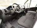 Fiat Ducato Maxi 35 L2H2 180 Automatik / 10-Zoll-Navi Weiß - thumbnail 8
