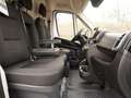 Fiat Ducato Maxi 35 L2H2 180 Automatik / 10-Zoll-Navi Weiß - thumbnail 10