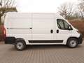 Fiat Ducato Maxi 35 L2H2 180 Automatik / 10-Zoll-Navi Weiß - thumbnail 3