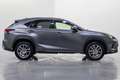 Lexus NX 300 300h Executive Navigation 4WD Gris - thumbnail 7