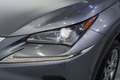 Lexus NX 300 300h Executive Navigation 4WD Gris - thumbnail 10