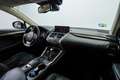 Lexus NX 300 300h Executive Navigation 4WD Gris - thumbnail 33