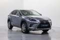 Lexus NX 300 300h Executive Navigation 4WD Gris - thumbnail 3