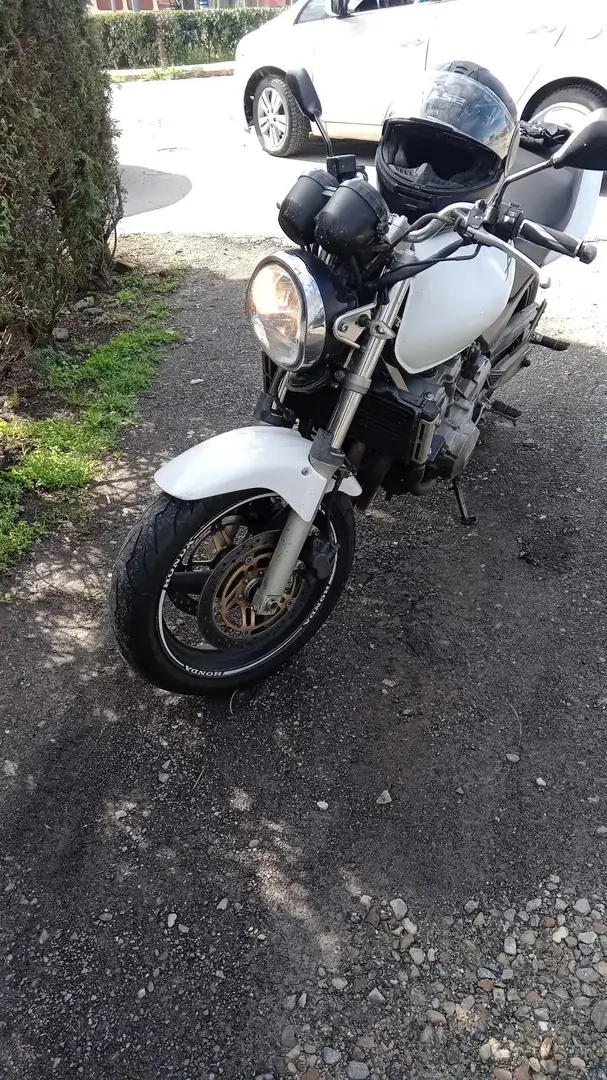Honda Hornet Bianco - 1