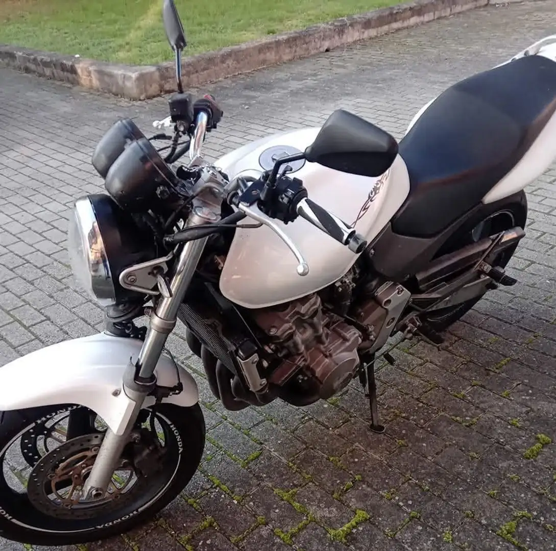 Honda Hornet Bianco - 2