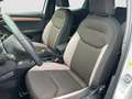 SEAT Ibiza Xcellence TSI|KAMERA|WINTERPAKET|SITZHEIZU Weiß - thumbnail 8