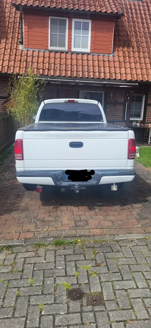 Dodge Dakota Blanc - 2