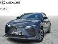Lexus RZ Executive Line Grigio - thumbnail 1