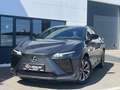 Lexus RZ Executive Line Grau - thumbnail 24