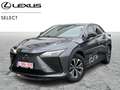 Lexus RZ Executive Line Grey - thumbnail 1