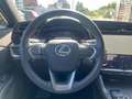 Lexus RZ Executive Line Grigio - thumbnail 14