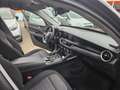 Alfa Romeo Stelvio Stelvio 2017 2.2 t Business rwd 160cv auto my19 Blu/Azzurro - thumbnail 12