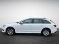 Audi A4 Avant 35 TDI S tronic advanced NaviPlus AHK APS... Wit - thumbnail 3