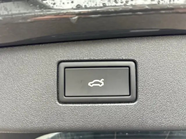 Volkswagen Tiguan R-Line TDI 4MOTION DSG Ansicht 8