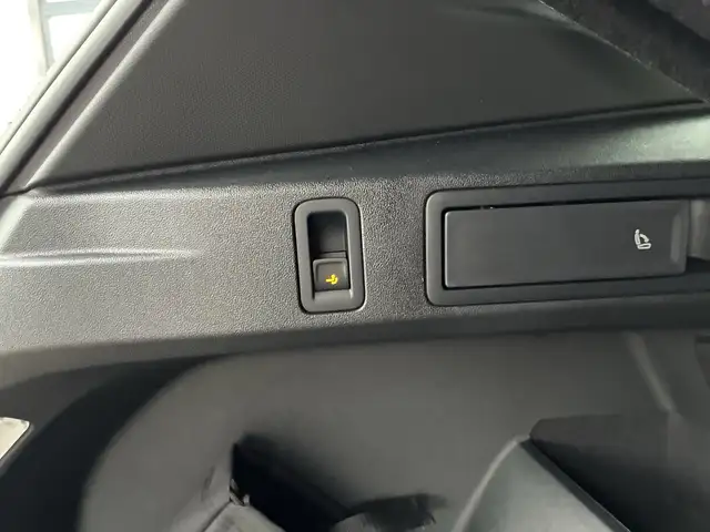 Volkswagen Tiguan R-Line TDI 4MOTION DSG Ansicht 6