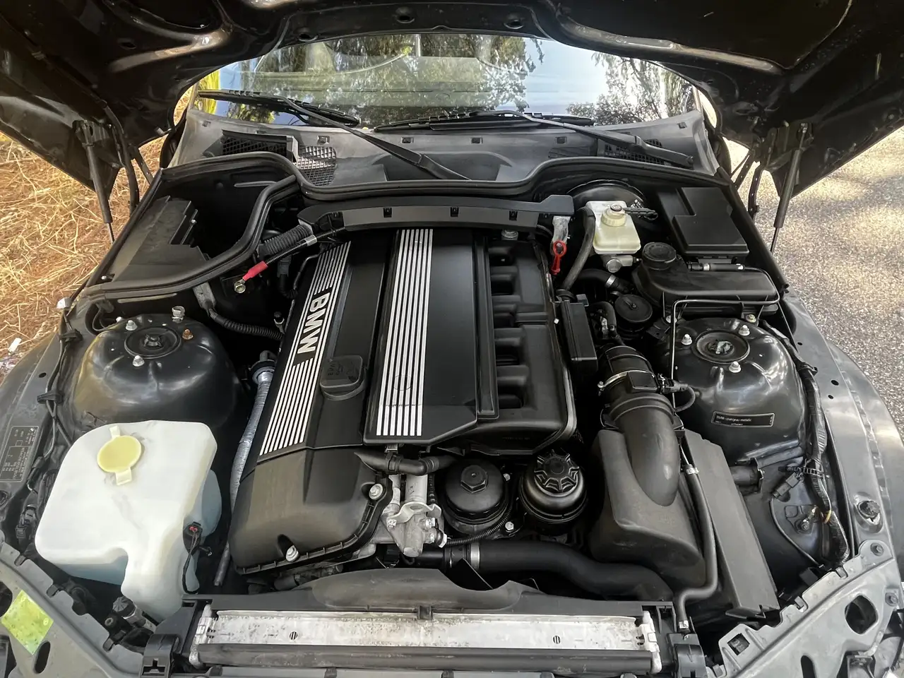 BMW Z3 Roadster 3.0 231cv, foto 12