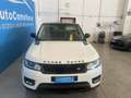 Land Rover Range Rover Sport 3.0 tdV6 HSE Dynamic auto Blanco - thumbnail 7