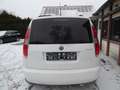 Skoda Roomster Praktik TDi Klima/Winterräder/HU neu Weiß - thumbnail 6
