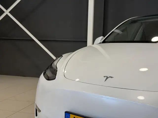 Tesla Model Y view 10