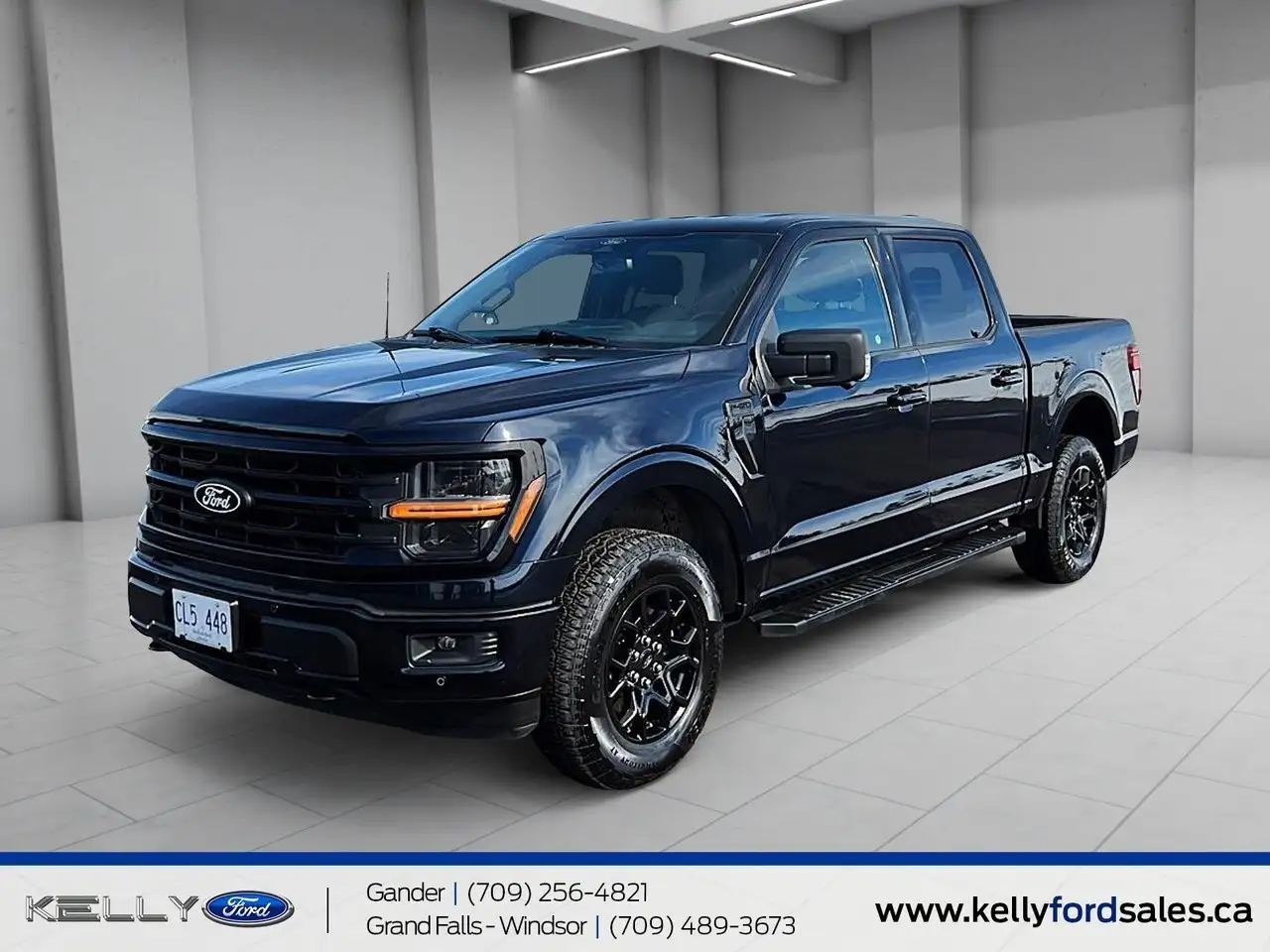 2025 Ford F 150
