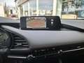 Mazda 3 2.5L e-SKYACTIV G 140ps Homura Bleu - thumbnail 14