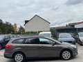 Ford Focus 1.5 TDCI Business*PDC* Brun - thumbnail 9