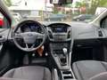 Ford Focus Ford Focus EcoBoost Business*ST LINE* - thumbnail 15