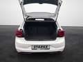 Volkswagen Polo 1.0 TSI Highline LED ACC APP-Connect Climatronic Blanc - thumbnail 13