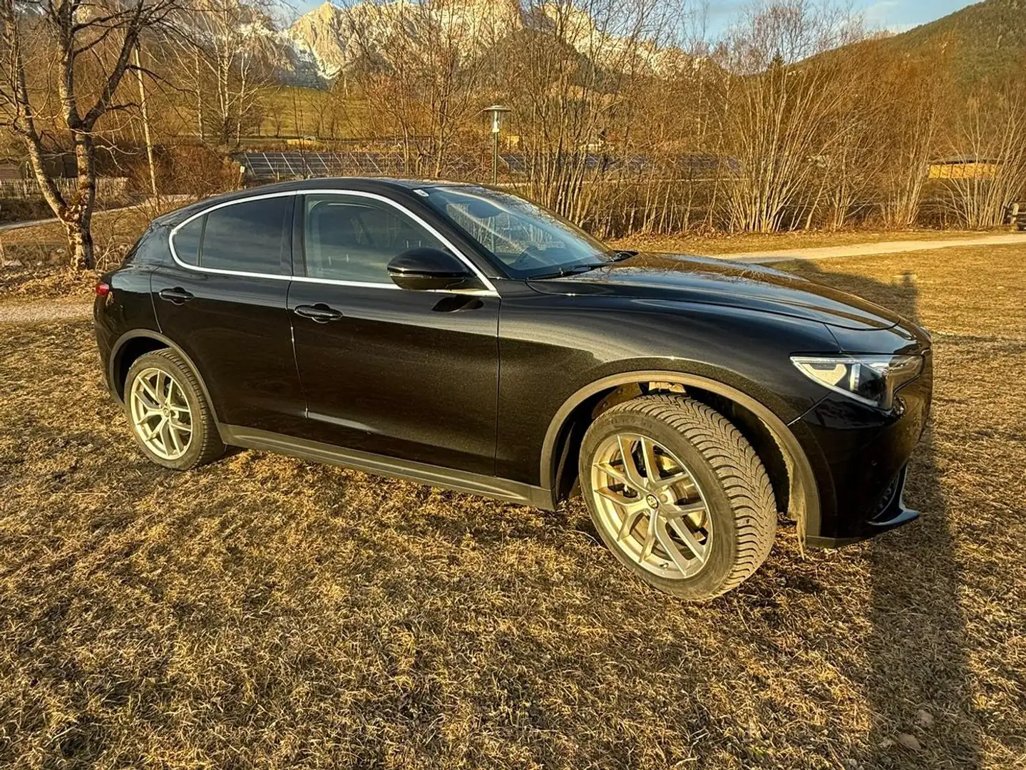 Alfa Romeo Stelvio Stelvio First Edition 2,0 ATX AWD First Edition Schwarz - 1