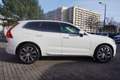 Volvo XC60 2.0 M-Hybrid Momentum Pro LED Navi ACC PDC Wit - thumbnail 7